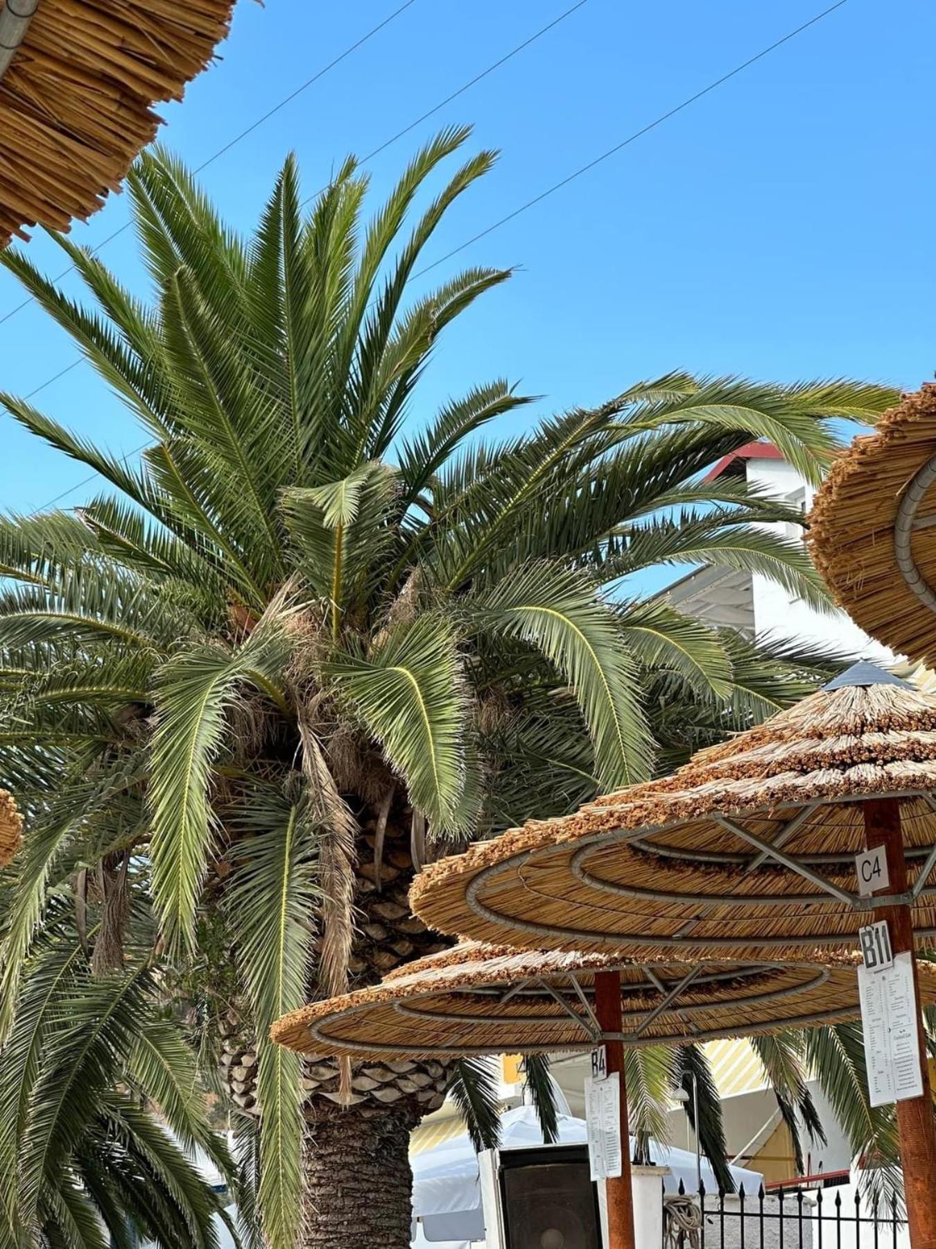Studios Meliton Porto Koufo Dış mekan fotoğraf